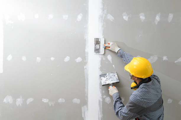 Best Air Quality Testing for Mold Spores  in Summerfield, MD