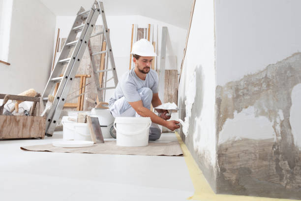 Best Mold Damage Restoration  in Summerfield, MD