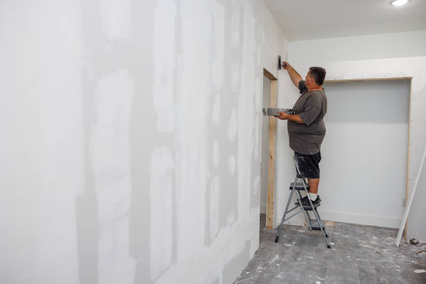 Best Water Damage & Mold Remediation  in Summerfield, MD