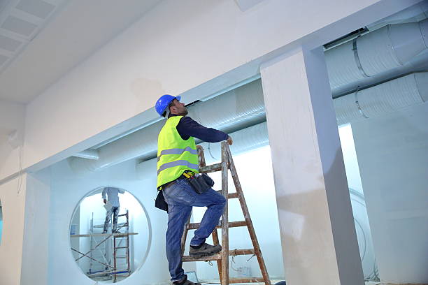  Summerfield, MD Mold Removal Pros